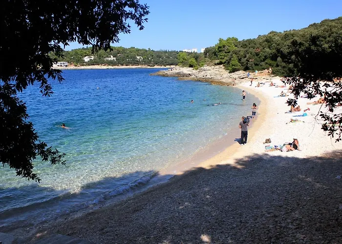 Appartement With Wifi - 17014 *